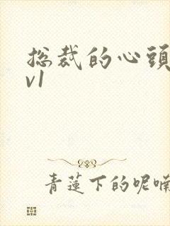 总裁的心头宝1v1