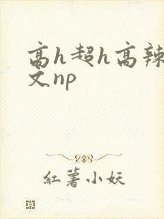高h超h高辣h文np