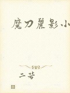 魔刀丽影小说