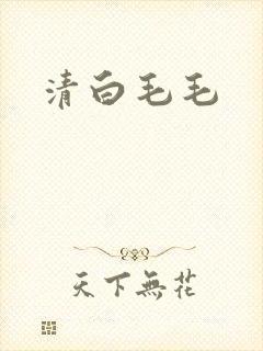 清白毛毛