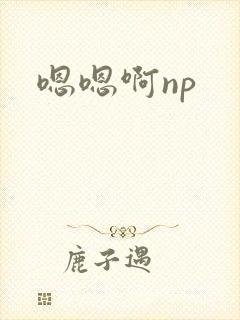 嗯嗯啊np