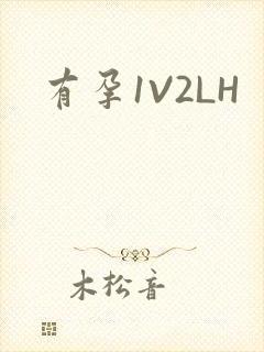 有孕1V2LH