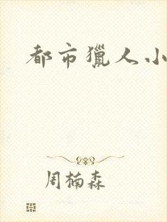都市猎人小说