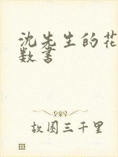 沈先生的花式调数书