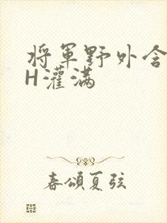 将军野外含公主H灌满