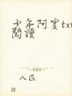 少年阿宾txt阅读