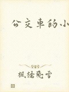 公交车的小说