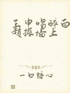 王申喝醉白洁被赵振墙上