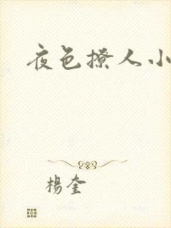 夜色撩人小说