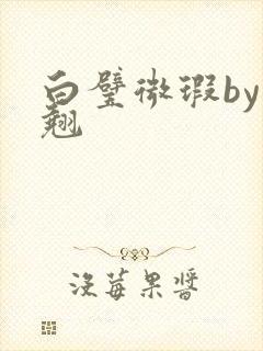 白璧微瑕by连翘
