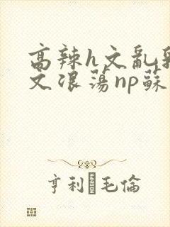 高辣h文乱乳h文浪荡np苏夏