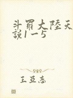 斗罗大陆天狂传说1一5