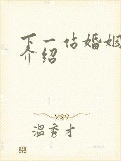 下一站婚姻剧情介绍