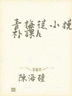 青梅从小摸到大补课h