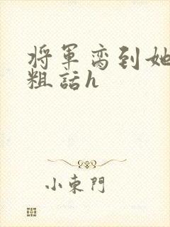 将军脔到她哭h粗话h