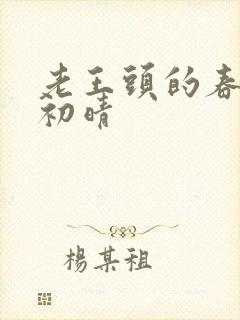 老王头的春天林初晴