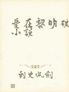 爱在黎明破晓前小说