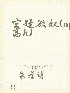 宫廷欲奴(np高h)
