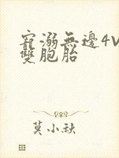 宠溺无边4V2双胞胎