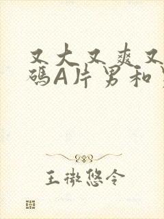 又大又爽又黄无码A片男和男