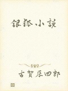 银狐小说