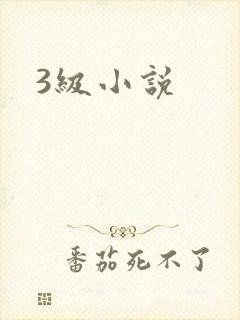 3级小说