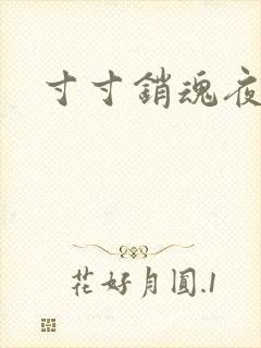 寸寸销魂夜春光