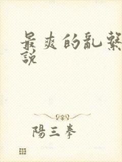 最爽的乱系列小说