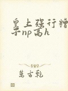 皇上强行糟蹋太子np高h