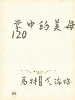 掌中的美母版主120