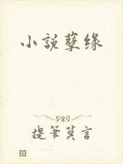 小说孽缘