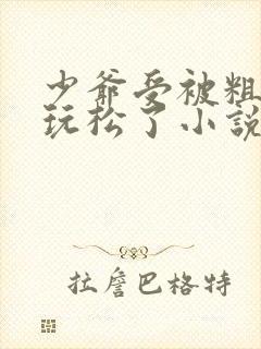 少爷受被粗汉H玩松了小说