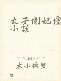 太子侧妃傻乎乎小说