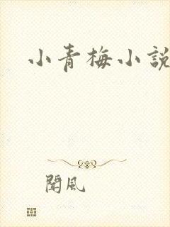 小青梅小说