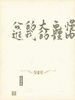 公的大龟慢慢挺进我的体内