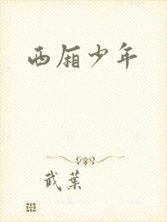西厢少年