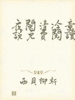夜阑清冷意欢小说免费阅读