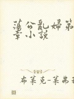 荡公乱妇第51章小说