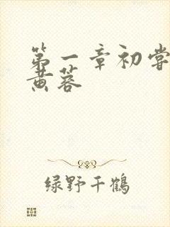 第一章初尝禁果黄蓉