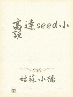 高达seed小说