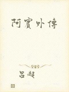 阿宾外传