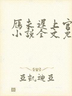 雁未迟上官穿越小说全文免费阅读