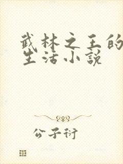 武林之王的退隐生活小说