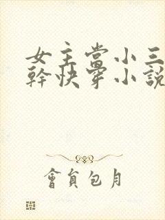 女主当小三的高干快穿小说禾火火