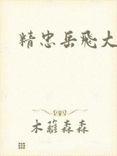 精忠岳飞大结局