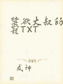 禁欲大叔的心尖宠TXT