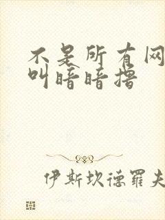 不是所有网站都叫暗暗撸