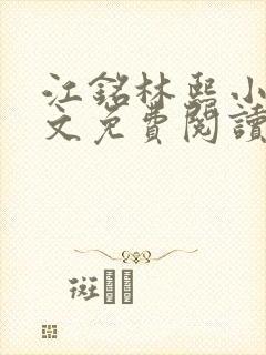 江铭林熙小说全文免费阅读