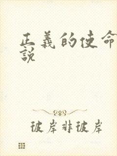 正义的使命 小说