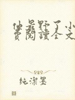 他最野了小说免费阅读全文